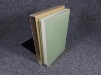 岡本かの子の小説 〈ひたごころ〉の形象