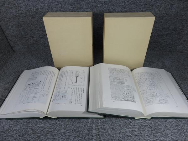 桜井市史 「本編上下」(桜井市史編纂委員会（編）) / 古本、中古