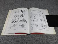 愛蔵版・漫画集　かっぱ天国