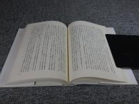 「満洲国」社会事業史  (MINERVA社会福祉叢書2)