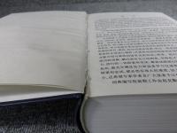 応用漢語詞典