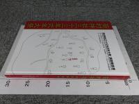 苗村神社三十三年式年大祭調査報告書