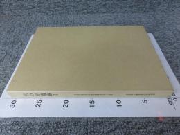 宮の平遺跡1 奈良県立橿原考古学研究所調査報告 第84冊