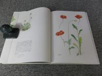 佐藤廣喜作品集　Botanical Art