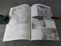 宮の原遺跡 ＜下関市埋蔵文化財調査報告書 49＞