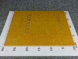 下川子田横穴群 ＜主要地方道いわき浪江線(白岩バイパス)埋蔵文化財調査報告4＞