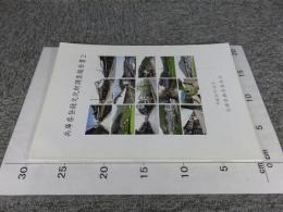 兵庫県登録文化財調査報告書2
