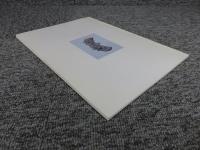 河内鋳物師の周辺 : 発掘速報展