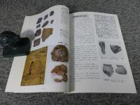 河内鋳物師の周辺 : 発掘速報展