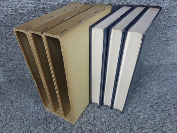 国訳一切経 印度撰述部125-127 中観部1-3 全3冊揃(岩野眞雄