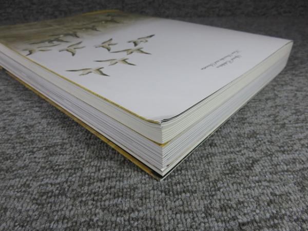 Amazon.co.jp: 特別展覧会図録～狩野山楽・山雪 : 本