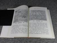 中国的城市生活