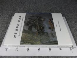 池子遺跡群　 総集編 　池子米軍家族住宅建設にともなう発掘調査記録
