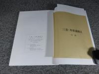 三雲・井原遺跡3　―八龍・三雲堺・宮ノ下・井原堺地区の調査―　福岡県前原市大字三雲・井原所在遺跡の調査報告　前原市文化財調査報告書　第82集