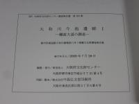 大和川今池遺跡1　 ―難波大道の調査―　都市計画道路大和川線建設に伴う発掘調査報告書