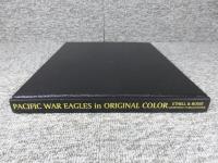 Pacific War Eagles  : China/Pacific Aerial Conflict in Original Color 