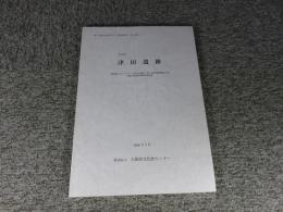 津田遺跡　大阪府文化財センター調査報告第175集