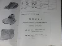 船橋遺跡III