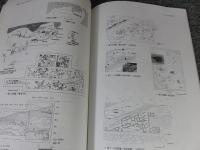 日本考古学協会　2004年度 広島大会　研究発表会資料集