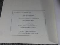 池島・福万寺遺跡6　(福万寺2期地区05-1調査区)