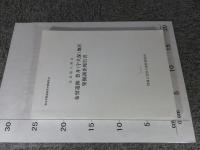 奈良県天理市布留遺跡豊井(宇久保)地区発掘調査報告書 ＜考古学調査研究中間報告＞