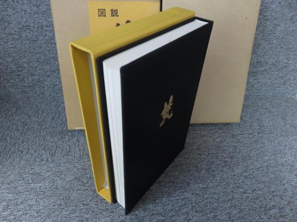 図説 梵字 : 密教の壁 悉曇参究(徳山暉純 著) / 古本、中古本