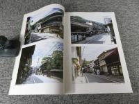 木曾平沢 　伝統的建造物群保存対策調査報告