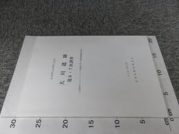 奈良県山辺郡山添村 大川遺跡 第6・7次調査 : 山添村カントリーパーク事業に伴う発掘調査報告書
