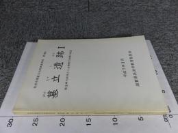 墓立遺跡1　弥生時代終末から古墳時代初頭の集落