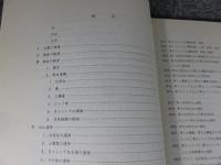 墓立遺跡1　弥生時代終末から古墳時代初頭の集落