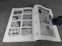 八ヶ奥遺跡・八ヶ奥製鉄遺跡・岡遺跡・小坂古墳群・才地古墳群・才地遺跡