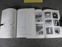 下ノ坪遺跡2　本文編・図版編
