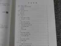 下ノ坪遺跡2　本文編・図版編