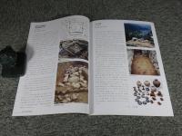 飛鳥の考古学2015　飛鳥資料館カタログ第33冊  飛鳥の古墳調査最前線