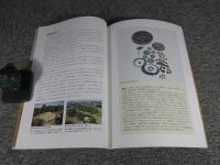 高松塚古墳を掘る  解明された築造方法  飛鳥資料館図録第68冊