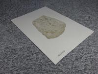 飛鳥の考古学2022　飛鳥資料館カタログ第39冊