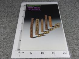 木簡黎明-飛鳥に集ういにしえの文字たち : 飛鳥資料館秋期特別展示 ＜飛鳥資料館図録 第53冊＞