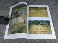 奇偉荘厳山田寺 : 重要文化財指定記念 : 秋期特別展示 ＜飛鳥資料館図録 第47冊＞