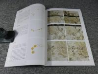 キトラ古墳天文図　星座写真資料