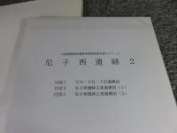尼子西遺跡 2 ＜ほ場整備関係遺跡発掘調査報告書 25-2＞