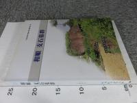 和順　支石墓群　＜木浦大学校博物館学術叢書第61冊＞