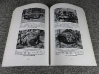 和順　支石墓群　＜木浦大学校博物館学術叢書第61冊＞