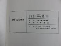 和順　支石墓群　＜木浦大学校博物館学術叢書第61冊＞