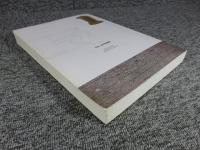 大田　月坪洞遺蹟　＜国立公州博物館学術調査叢書第8冊＞
