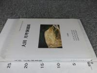 大田　月坪洞遺蹟　＜国立公州博物館学術調査叢書第8冊＞