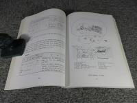 大田　月坪洞遺蹟　＜国立公州博物館学術調査叢書第8冊＞