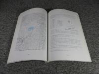 扶餘 百済古墳 地表調査報告書4 ＜国立扶餘文化財研究所 学術研究叢書 第36輯＞