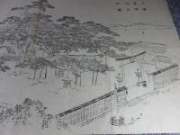 近江国 滋賀郡 唐崎社 霊松図