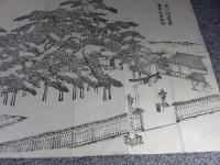 近江国滋賀郡　唐崎社霊松図