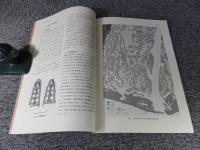 山の神遺跡第5次　　浜松市山の神遺跡5次発掘調査報告書